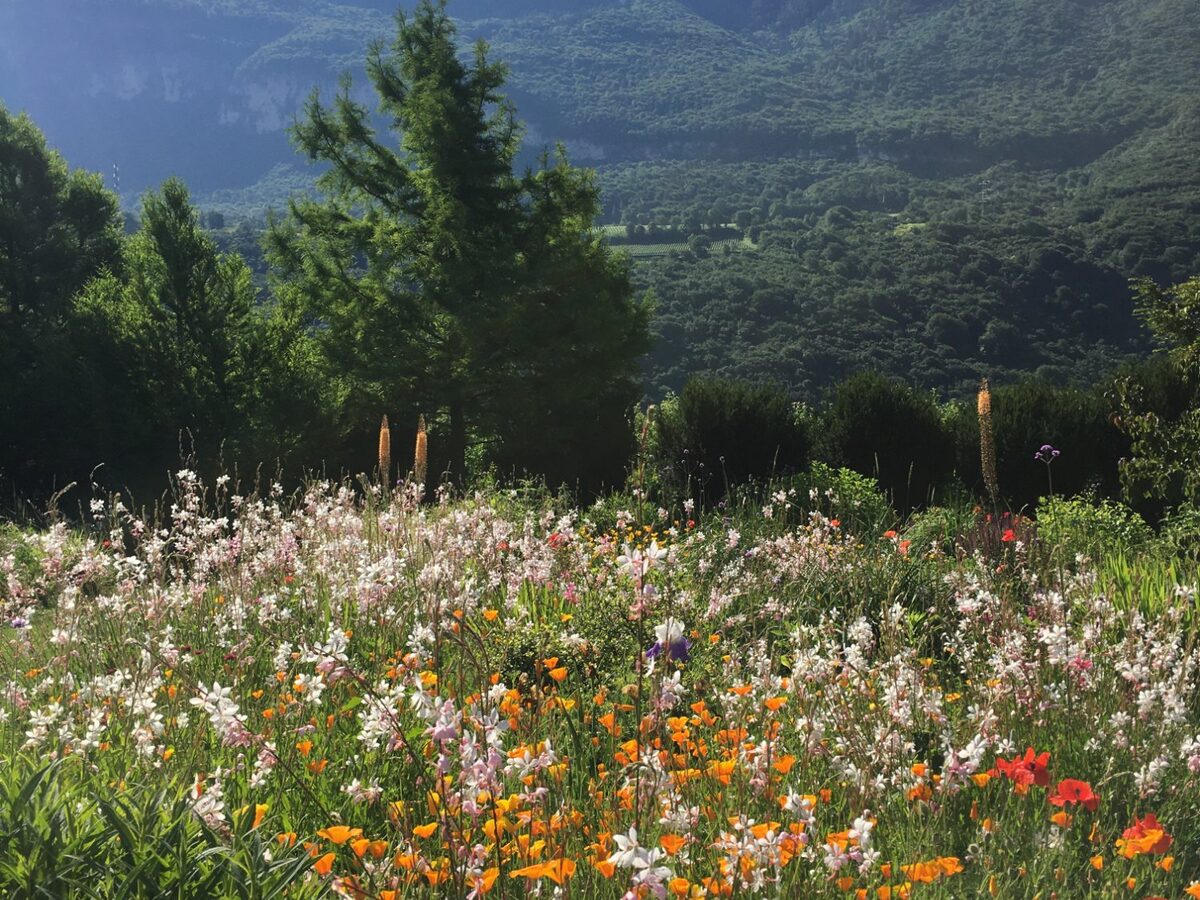 Stimmungen und Ausblicke